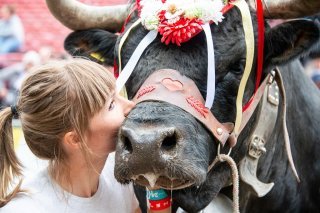 Mellissa Uttinger celebrates the victory of her cow